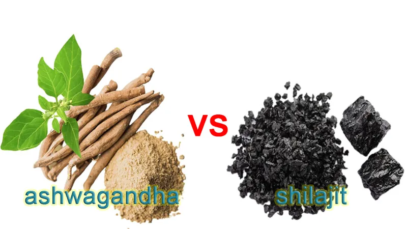 ashwagandha vs shilajit